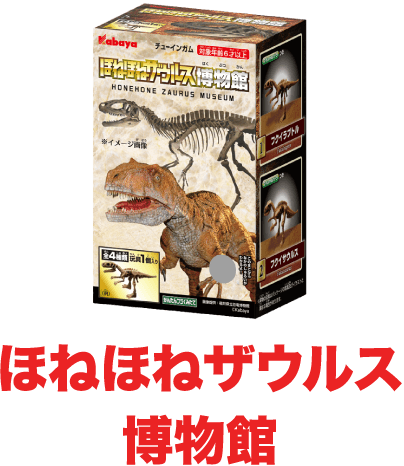 ほねほねザウルス 博物館